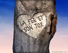 La fée