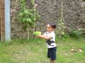 DSCN4361