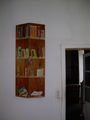 DSCN4268