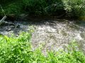 DSCN4167