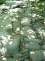DSCN4174