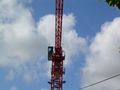 Grue 1