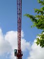 Grue 2