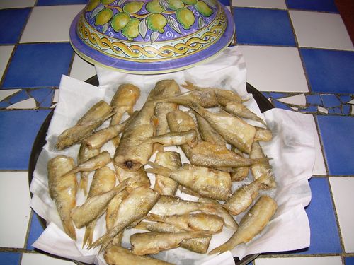 DSCN4050