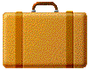 Valise