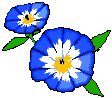 Fleurs bleues