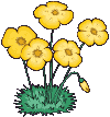 Fleurs jaune