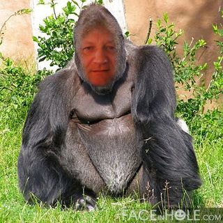 Tao roi du zoo