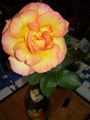 DSCN0363