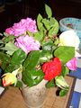 DSCN0380
