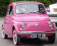 Fiat 500 rose