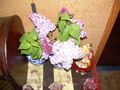 DSCN0309