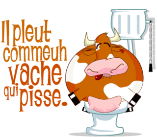 Y pleut