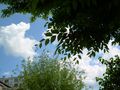DSCN3414