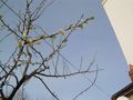 DSCN2664
