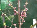DSCN2675