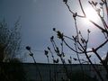 DSCN2681
