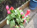 DSCN2656