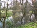 DSCN2438