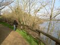 DSCN2467