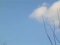 DSCN2419