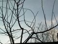 DSCN2420