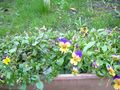 DSCN2415