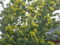 DSCN2417