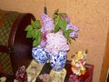 DSCN0310