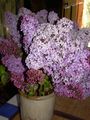DSCN0312