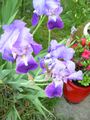 DSCN0263