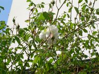 DSCN0261