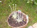 DSCN0245