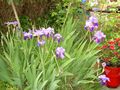 DSCN0249