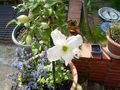 DSCN0260