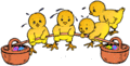 Poussins panier