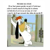 Les idées de merde