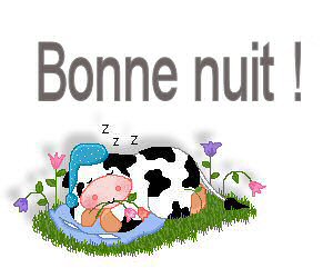 Vache bonne nuit
