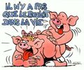 Les BAP