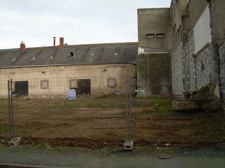 DSCN0019