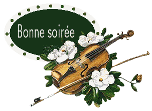 Bonne soirée violon
