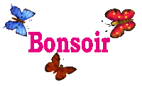 Bonsoir xx