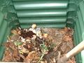 DSCF0010