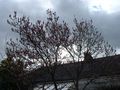 DSCF0001