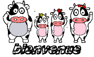 Vache bienvenue