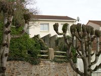 DSCN0056