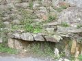 DSCN0026