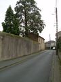 DSCN0043