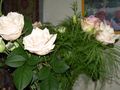 DSCN0004