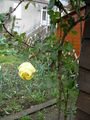 DSCN0021